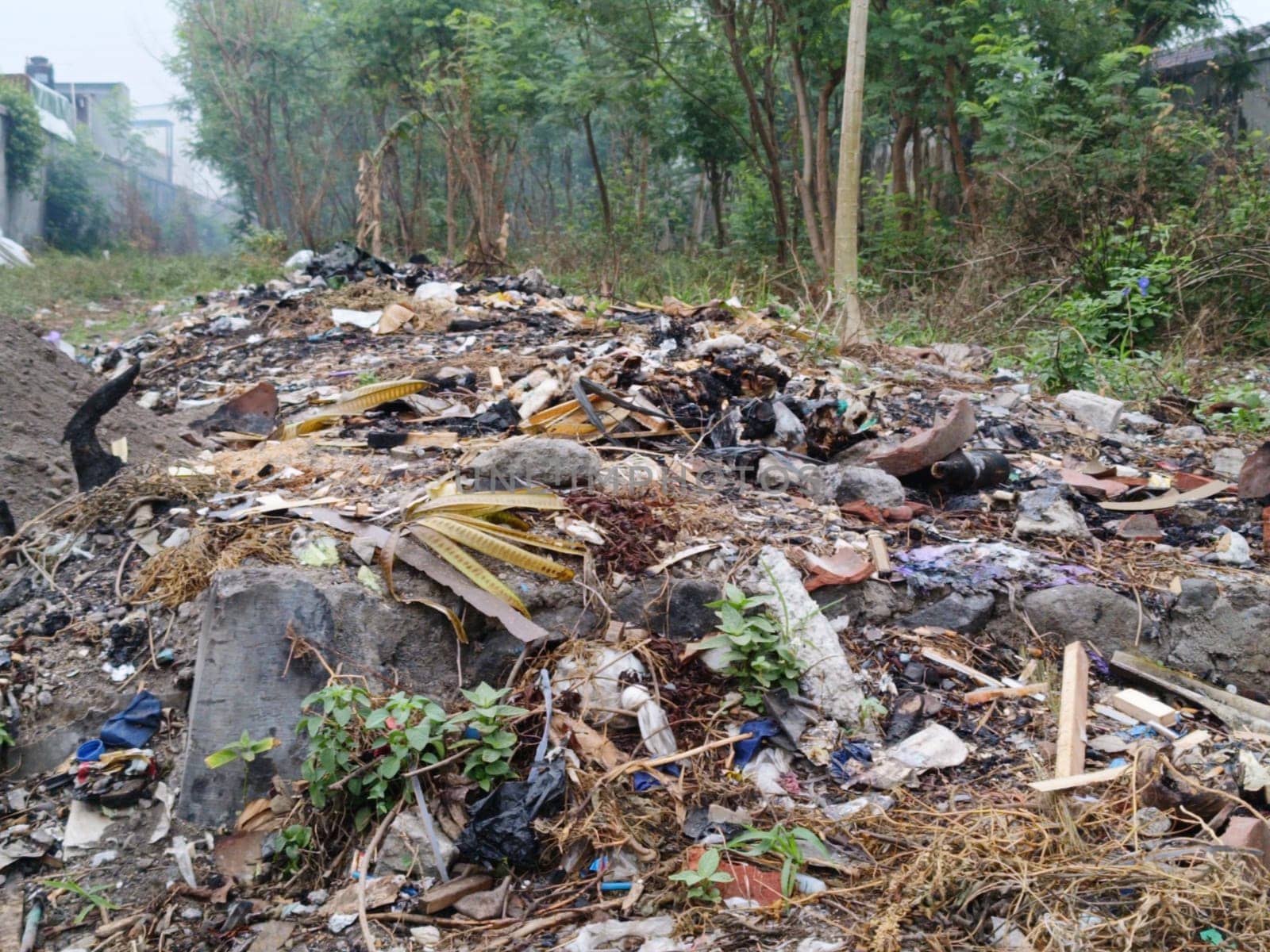 Image showing a littered area with various waste materials scattered across a natural setting, highlighting environmental pollution and the need for cleanup efforts to restore nature.