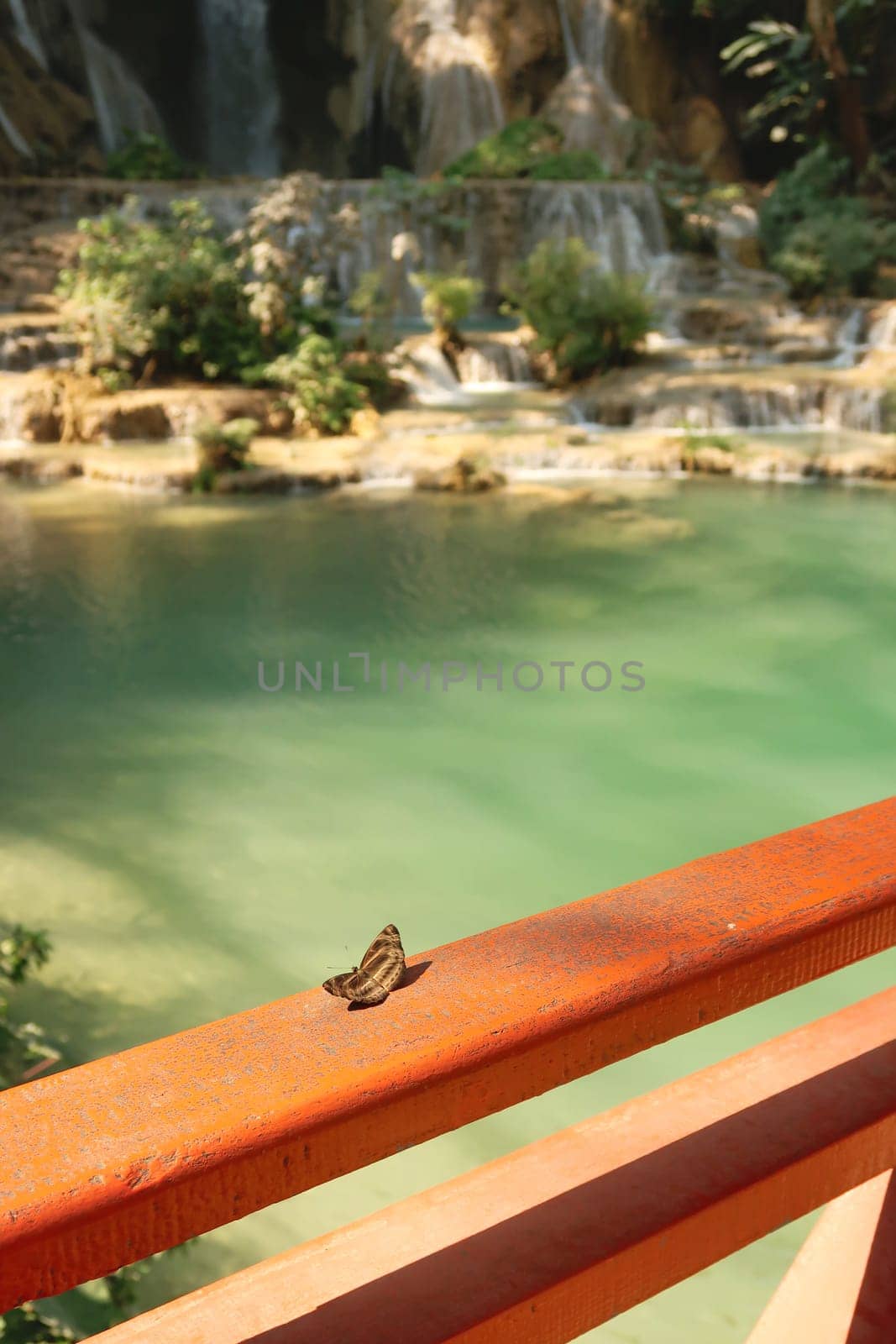 Butterfly on a red railing, handrail, rail in front of the Kuang Si Fall, Waterfall, close to Luang Prabang, Laos 2023