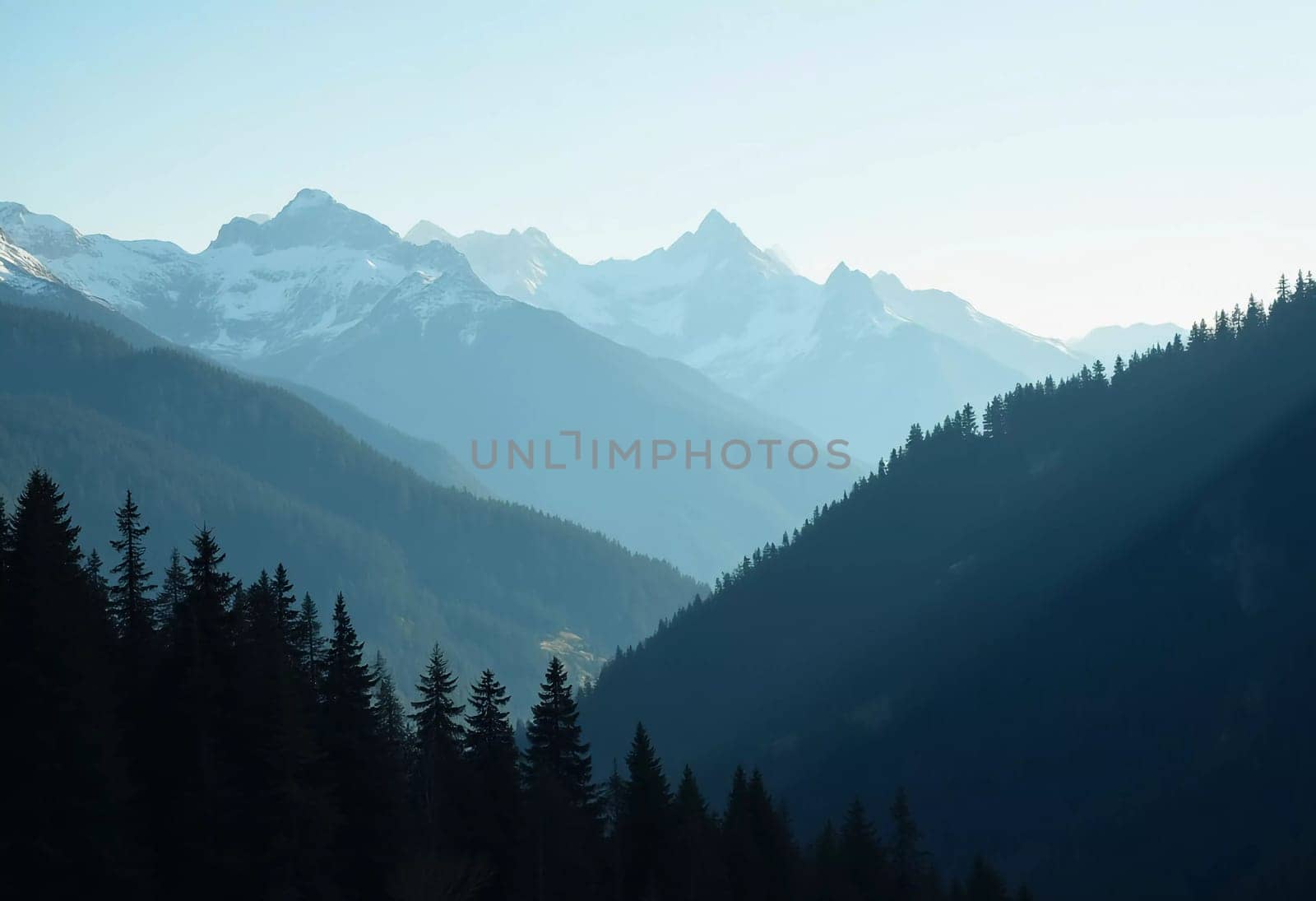 A peaceful view unfolds with towering spruce trees framing majestic mountains bathed in soft morning light. Lush green forest descends into a misty valley, creating a serene atmosphere. Generative AI