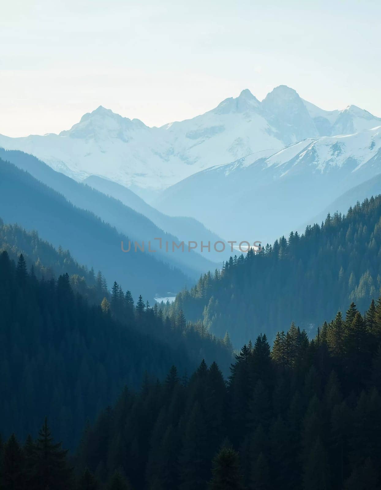 A peaceful view unfolds with towering spruce trees framing majestic mountains bathed in soft morning light. Lush green forest descends into a misty valley, creating a serene atmosphere. Generative AI