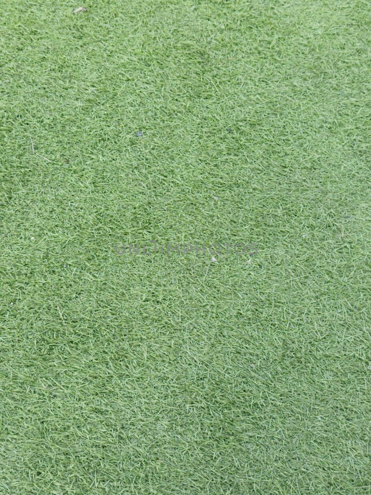 Detailed image of synthetic grass with vibrant green texture, perfect for backgrounds, sports fields, or landscaping projects, conveying a clean and lush appearance.