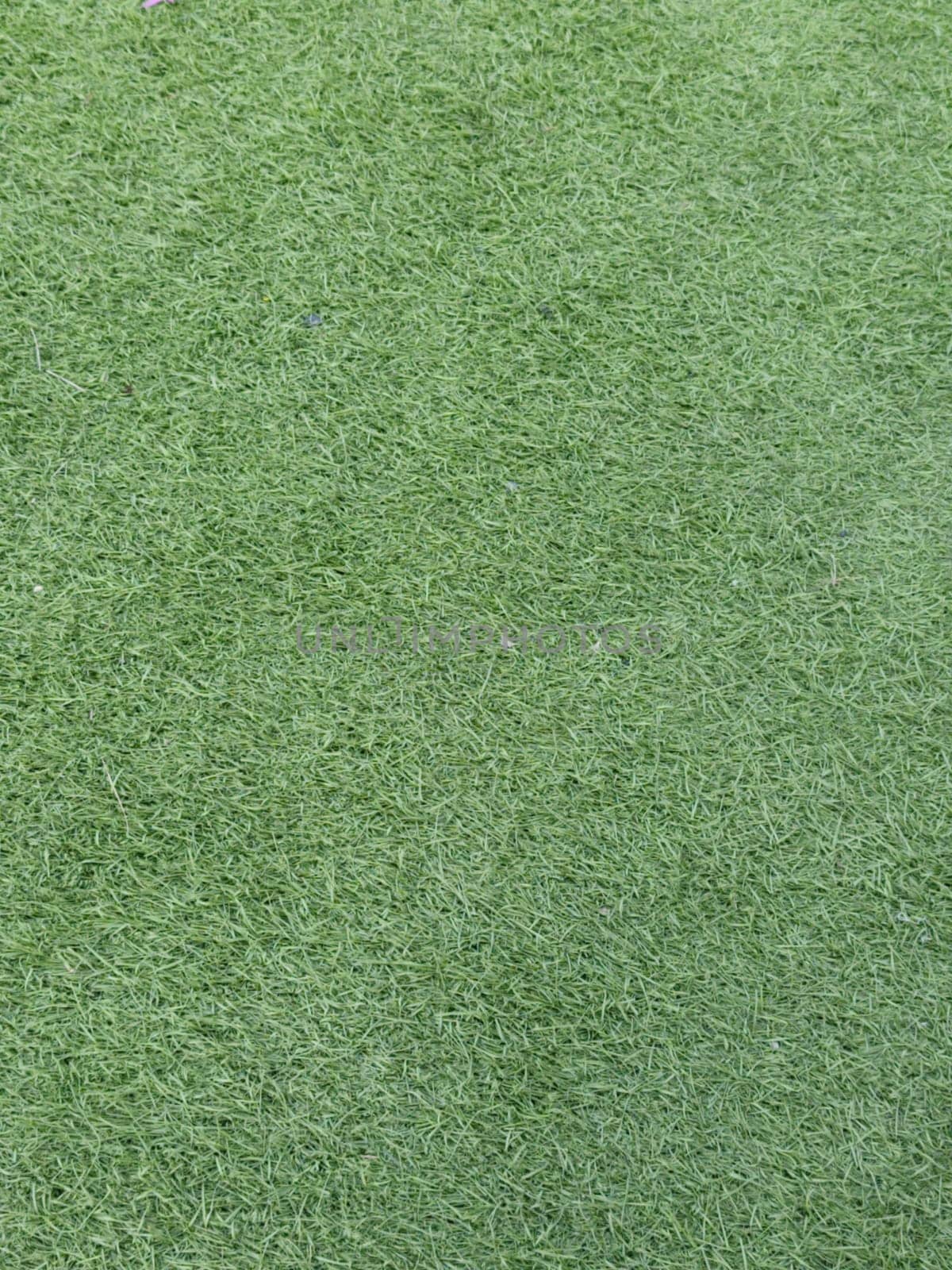 Detailed image of synthetic grass with vibrant green texture, perfect for backgrounds, sports fields, or landscaping projects, conveying a clean and lush appearance.