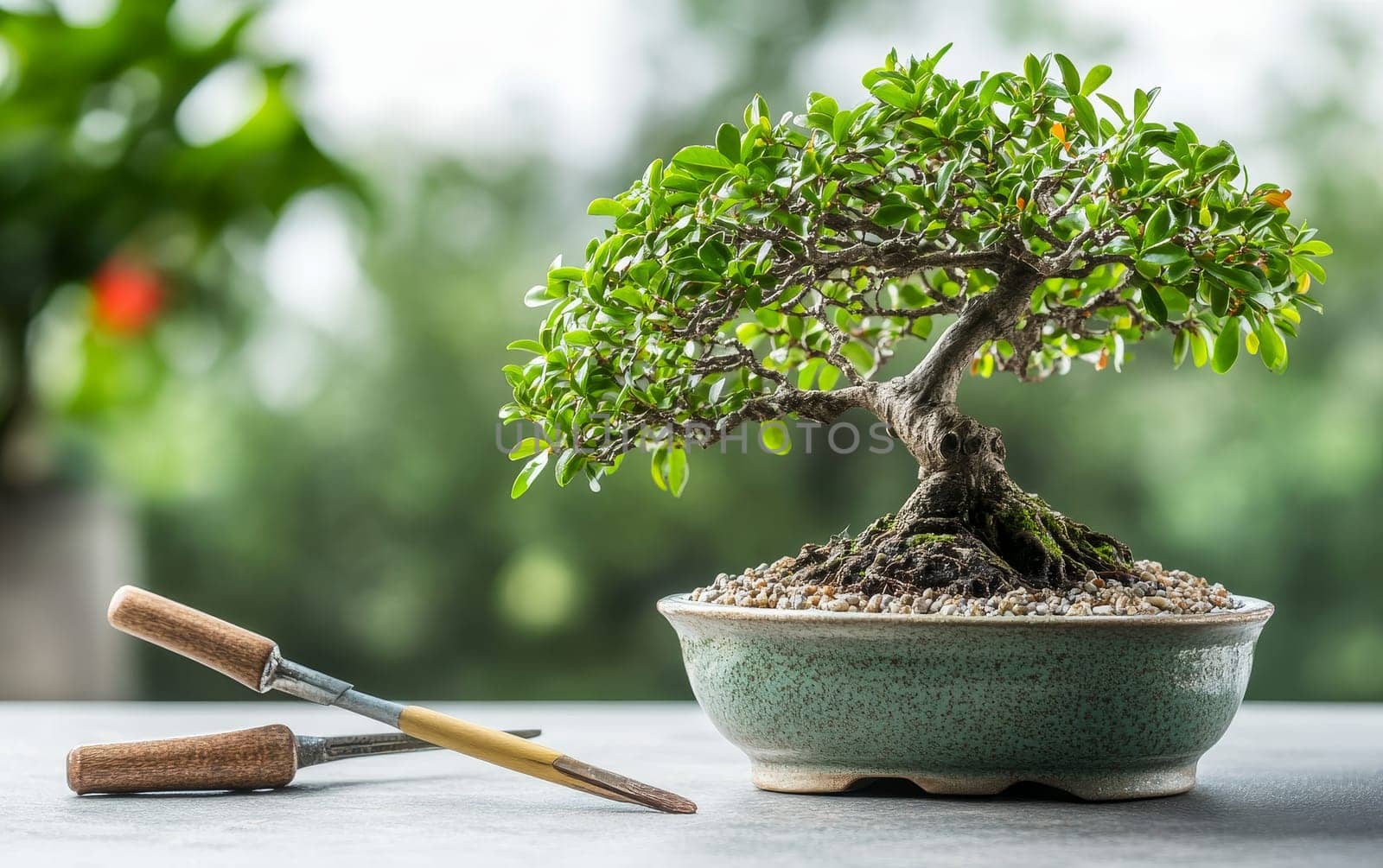 Miniature bonsai tree in a ceramic pot with pruning tools, symbolizing zen, patience, and the art of gardening, set against a blurred green background.