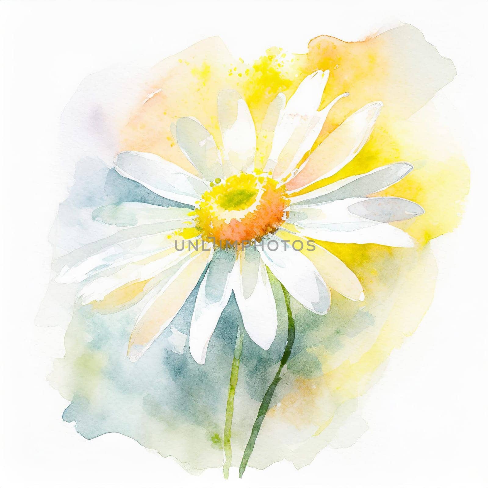 A delicate watercolor painting of a chamomile flower on a white background