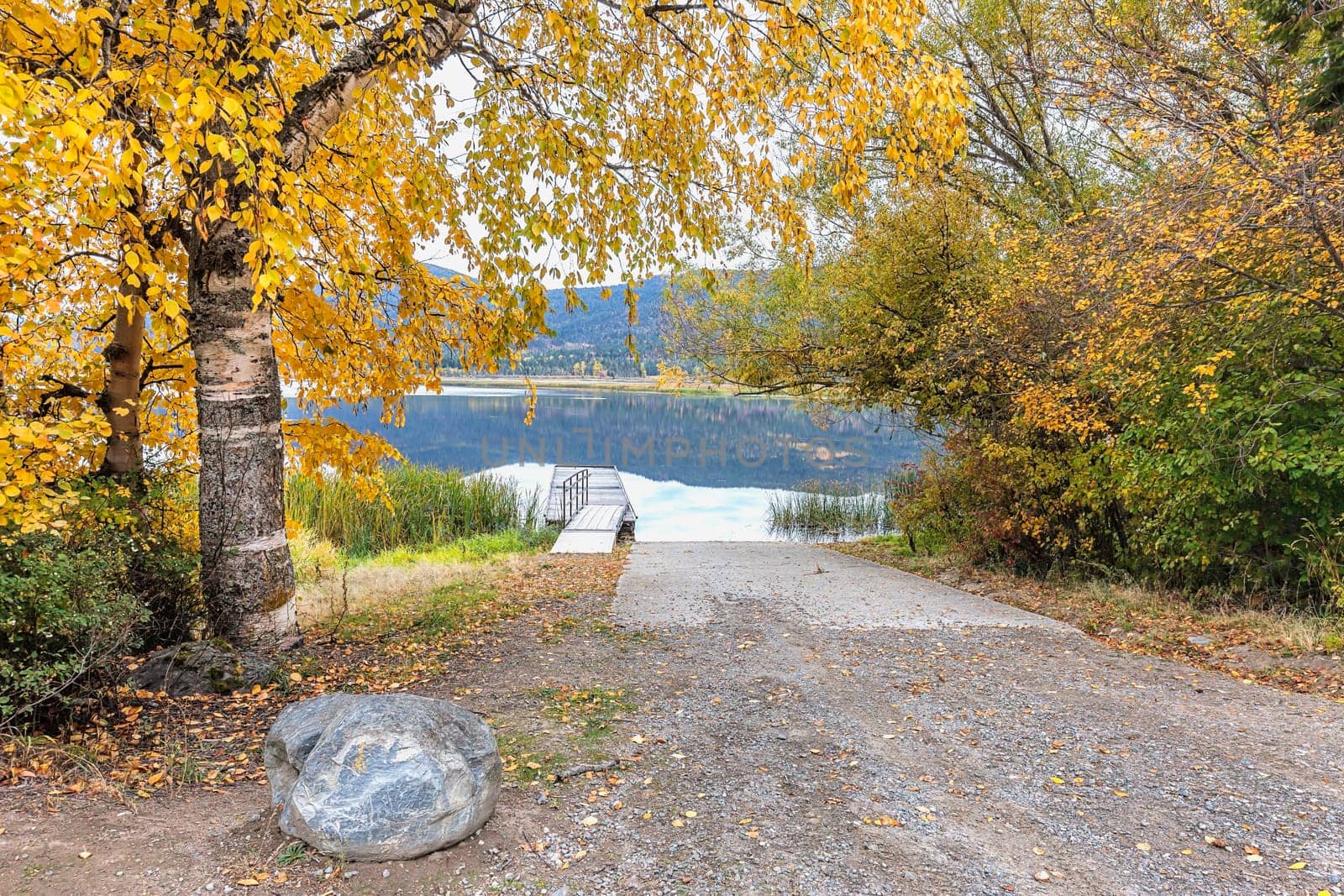 Trees with yellow leaves layer over the ramp to the dock on McArthur Lake in north Idaho.