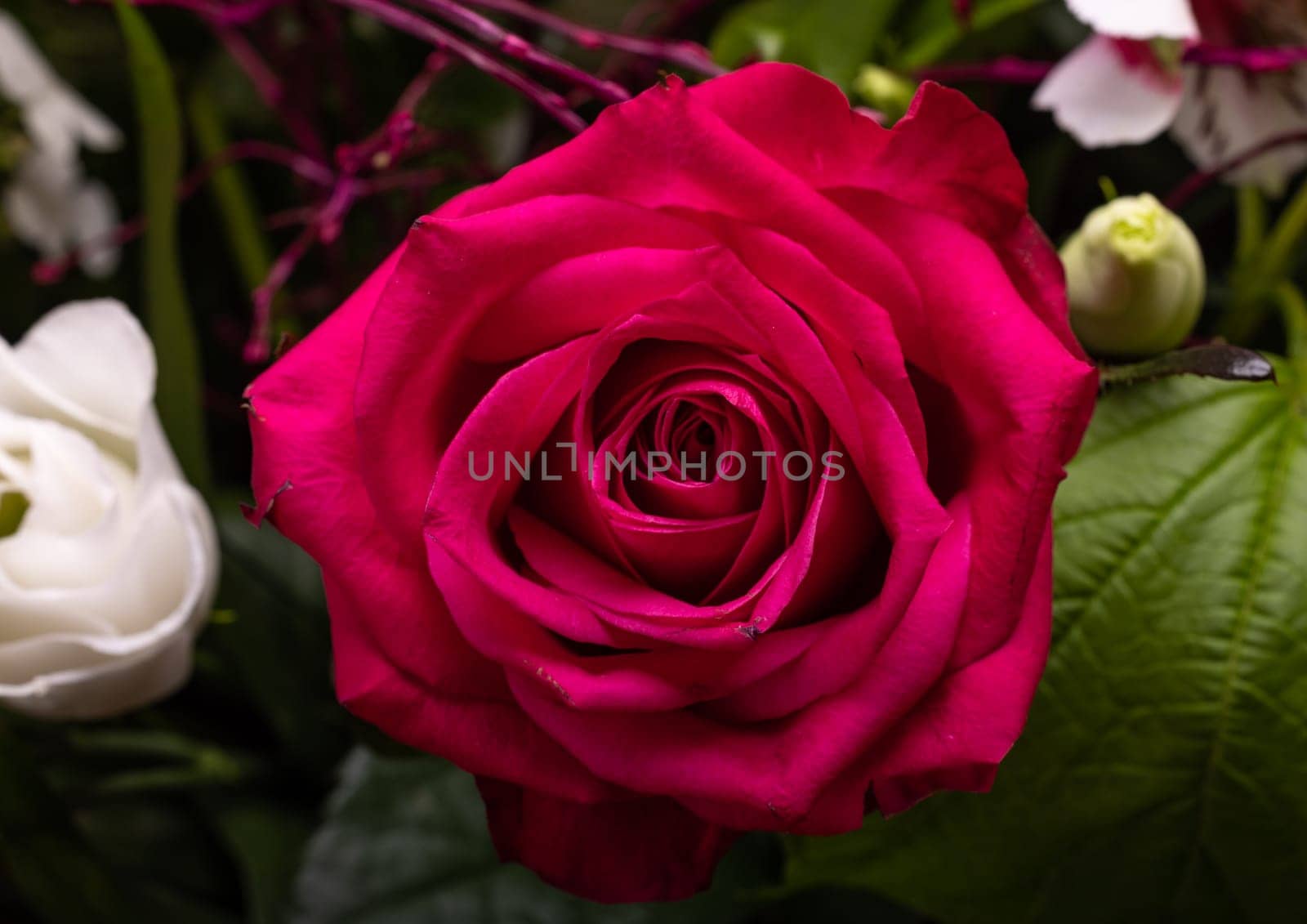 a beautiful red rose in a floral bouquet
