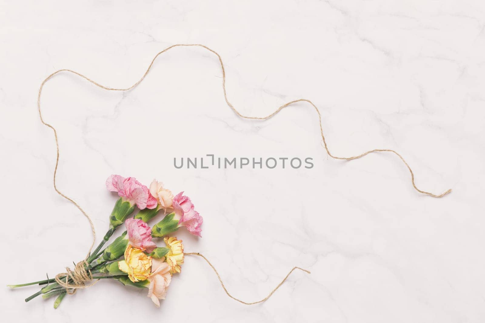 beautiful carnations linen thread white. High resolution photo