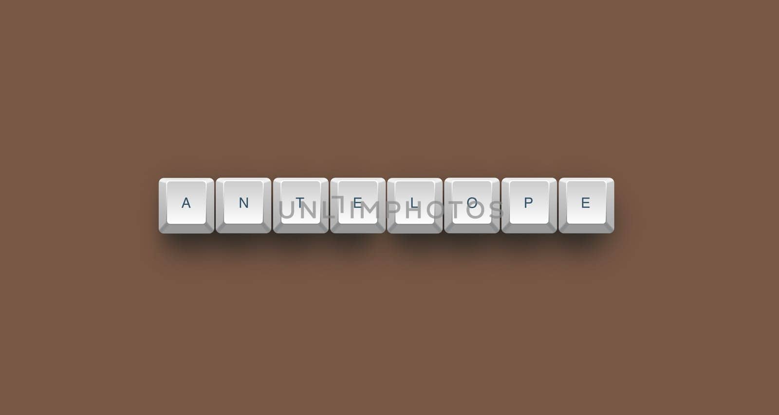Antelope text on a 3d keyboard button with shadow, 3d illustration