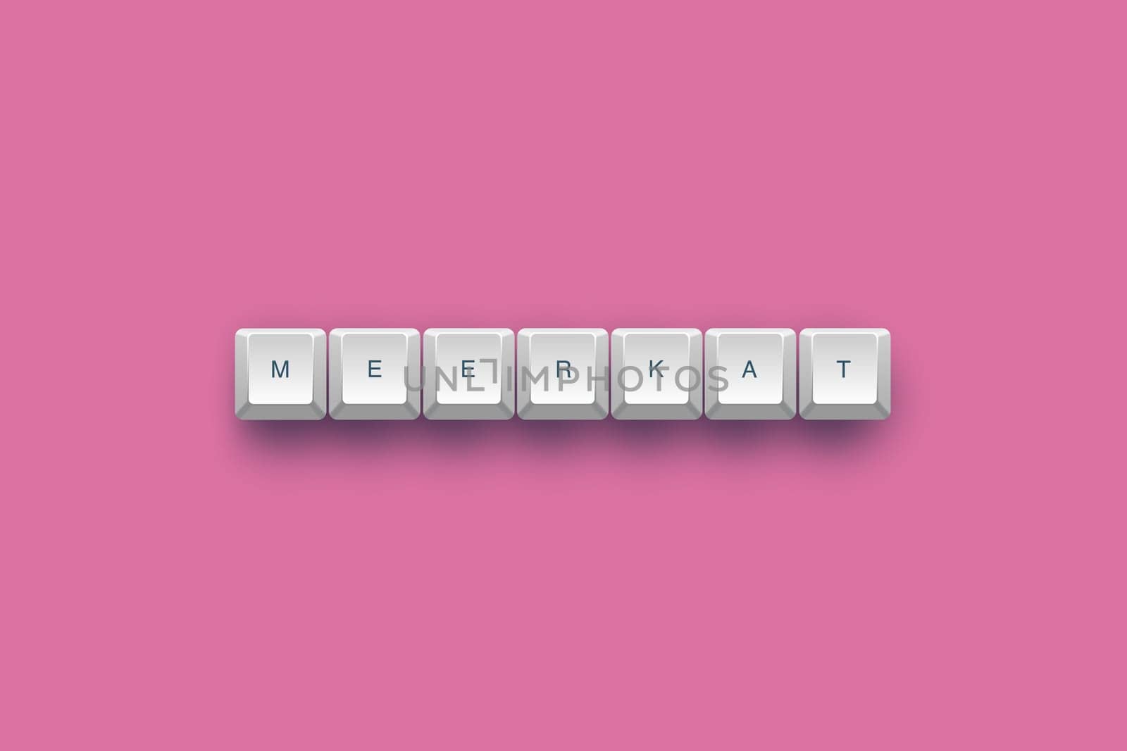 Meerkat text on a 3d keyboard button with shadow, 3d Illustration