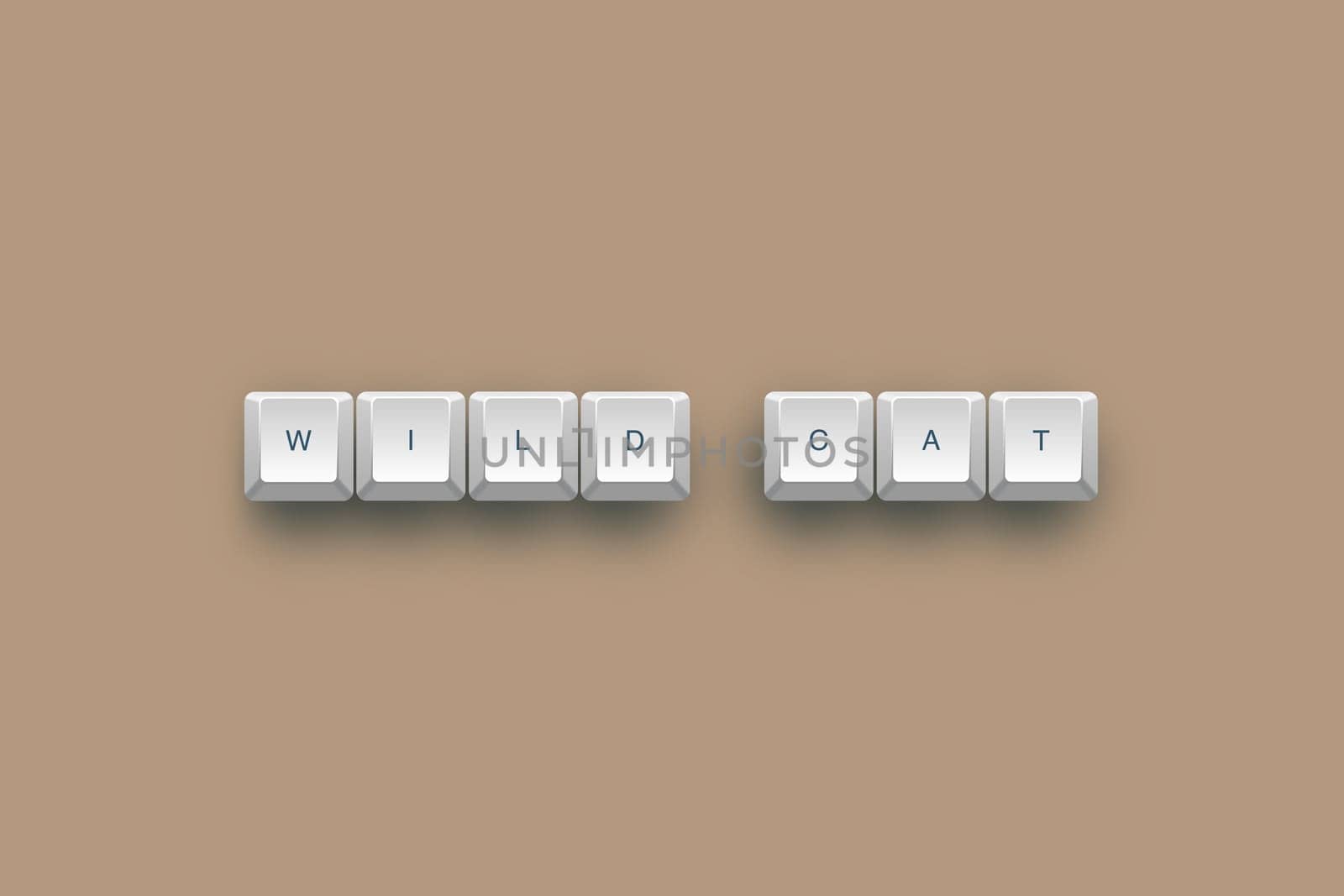 Wild text on a 3d keyboard button with shadow, 3d Illustration