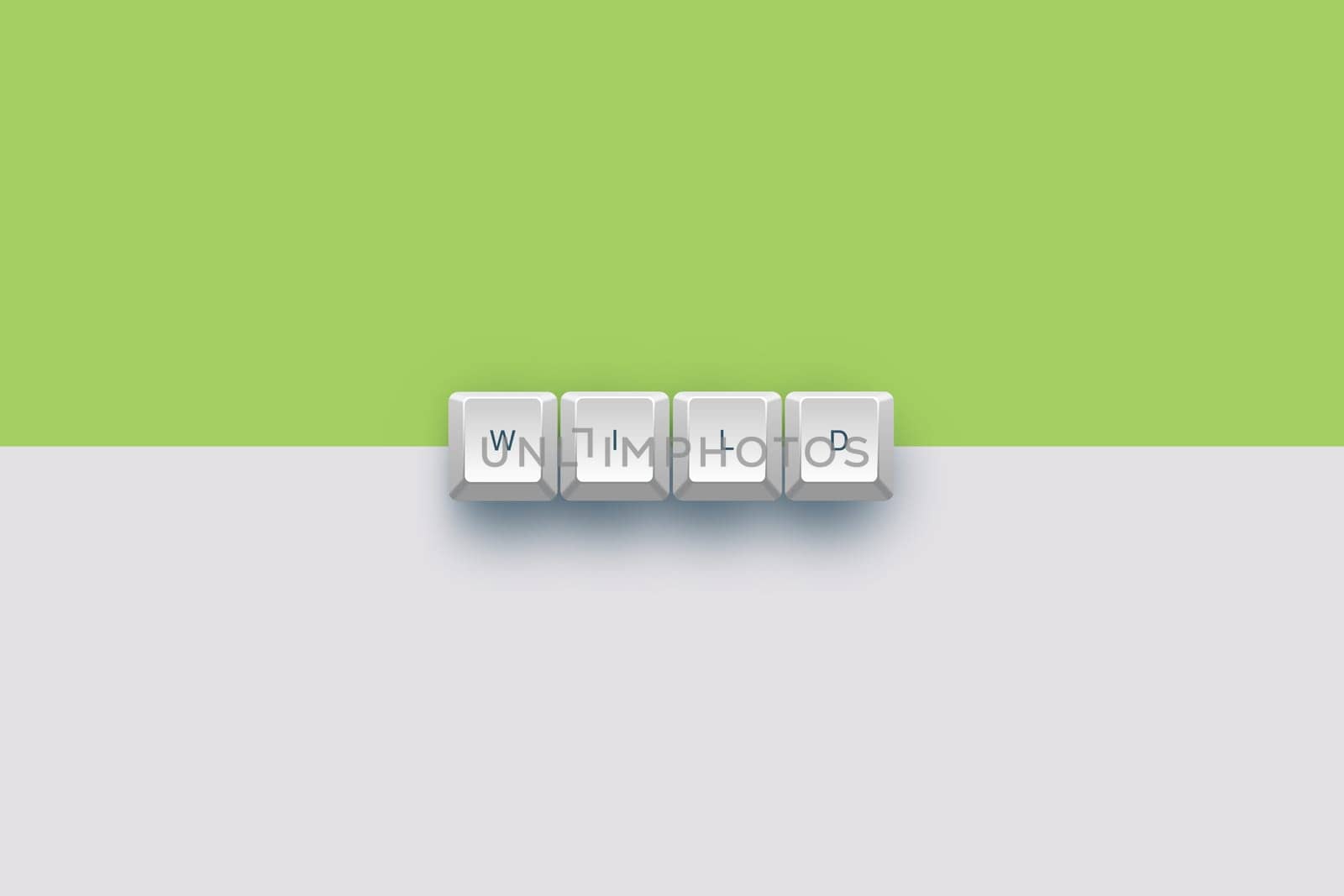 Wild text on a 3d keyboard button with shadow, 3d Illustration