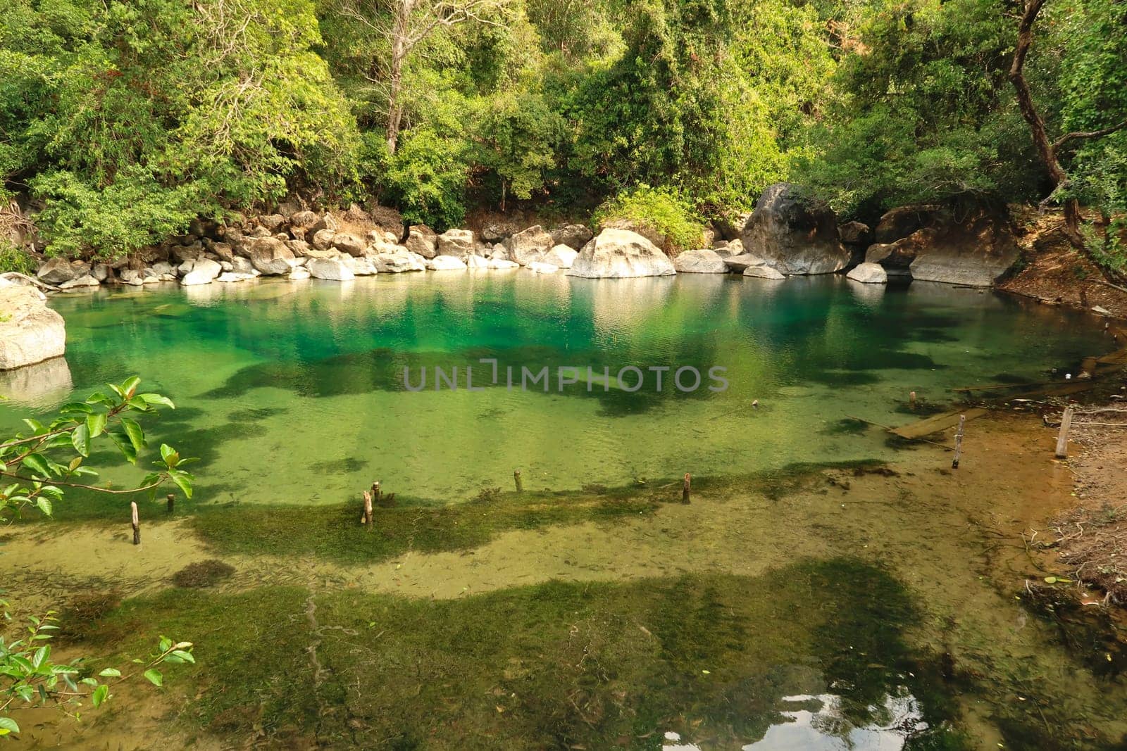 At the cool pool, a small pond, lake, lagoon with intense green water on the Thakhek Motorbike Loop, Laos 2023