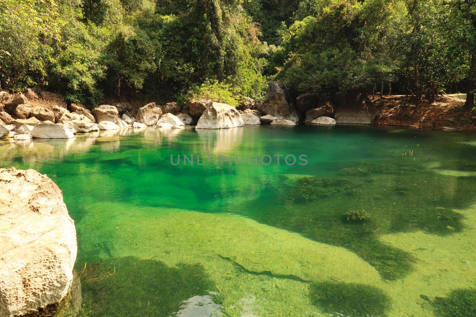 A small pond, lake, lagoon with intense green water called cool pool, a tourist attraction on the Thakhek Motorbike Loop, Laos 2023