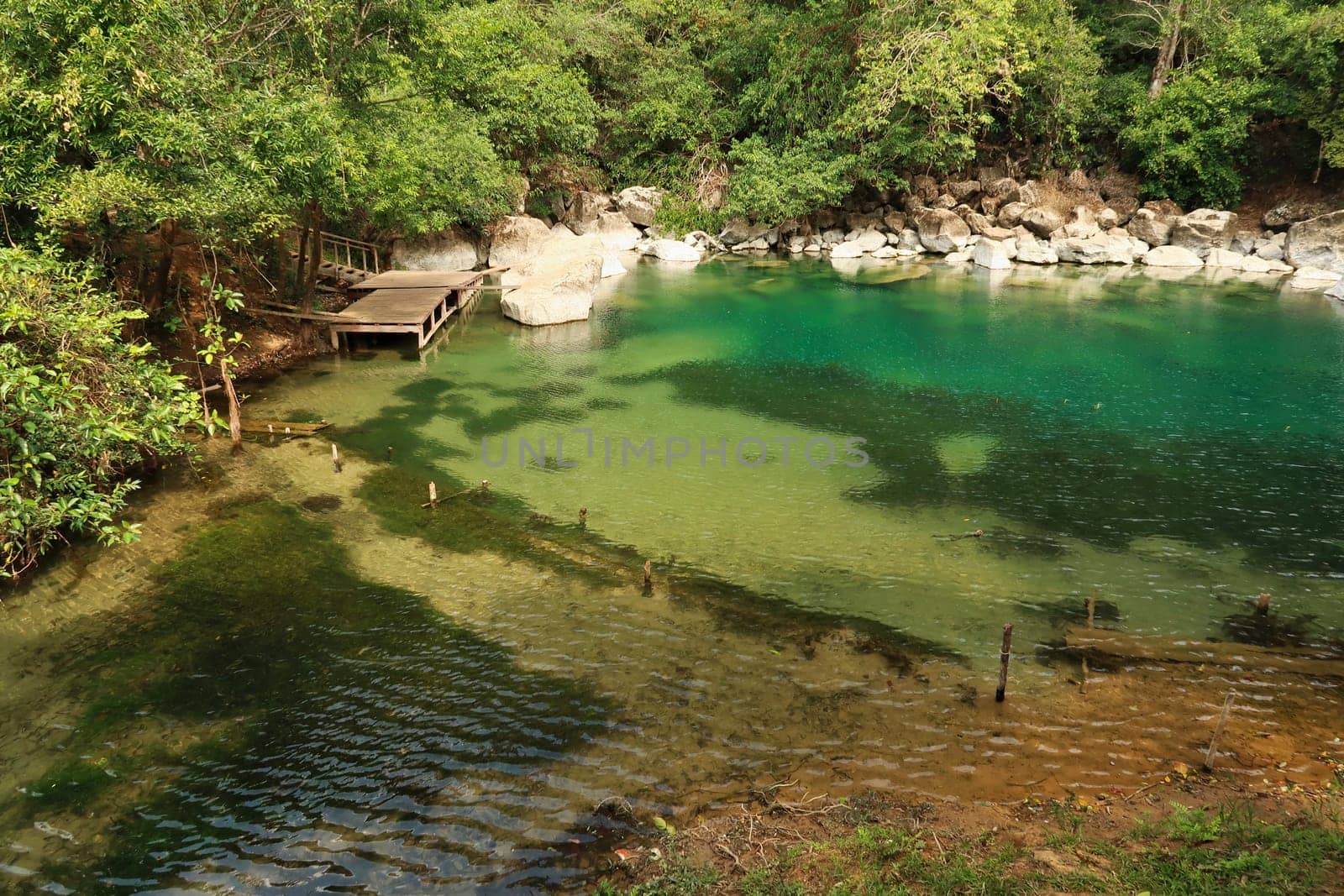 The intense green water of the cool pool, a small pond, lake, lagoon on the Thakhek Motorbike Loop, Laos 2023
