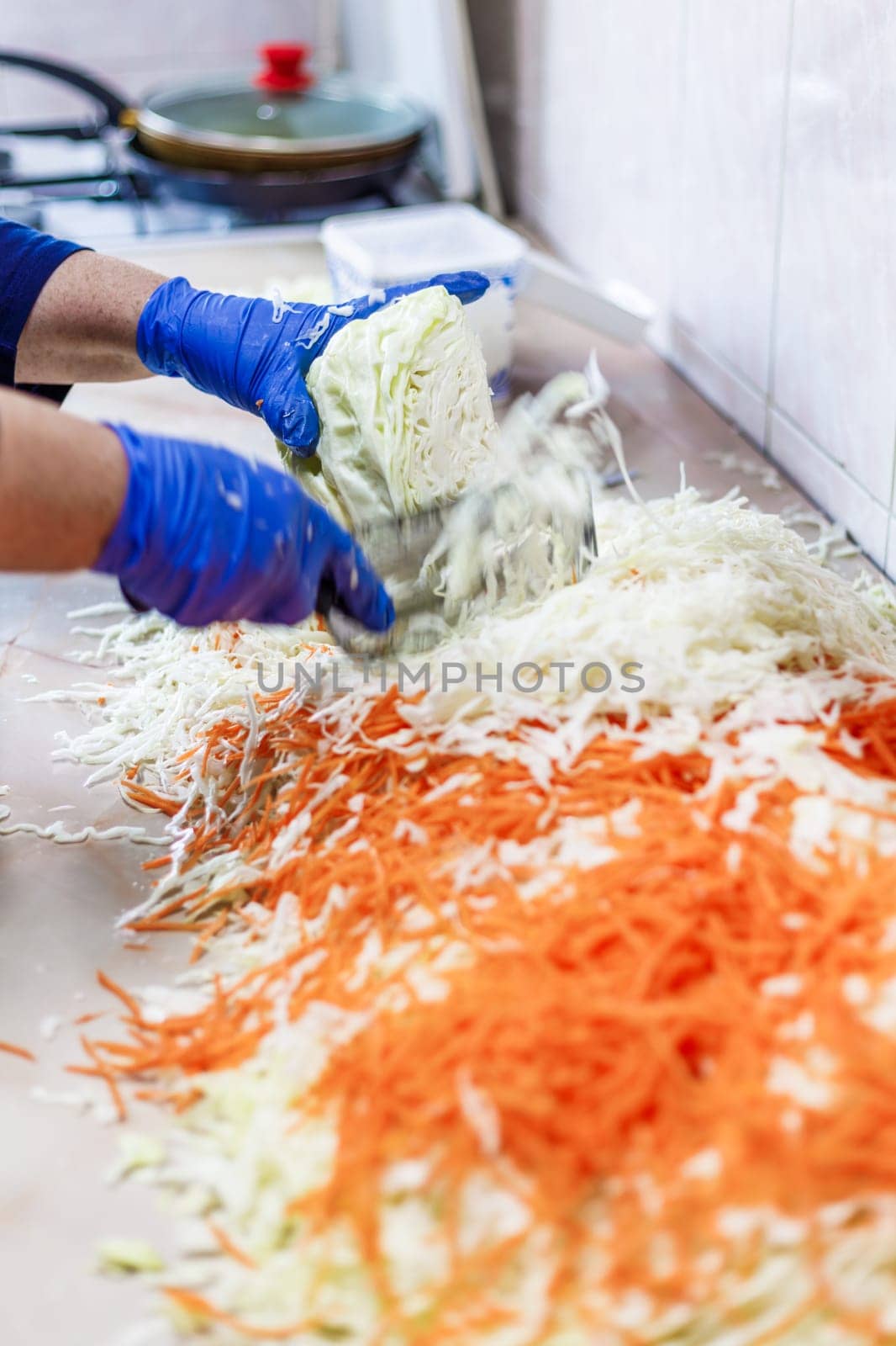 hands in blue gloves cutting cabbage with special double blade slit cabbage shredder knife during sauerkraut preparation