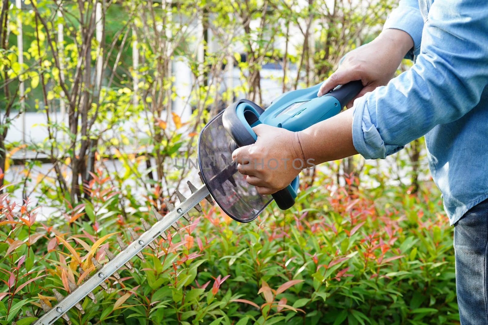 Gardener trimming bush by electric hedge clippers in garden. Hobby at home.