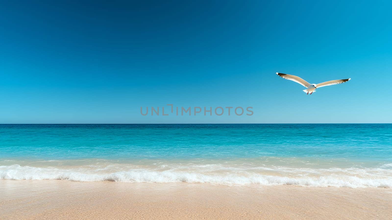 A lone seagull flying over a tranquil beach with clear blue water and sky, capturing a serene coastal scene.