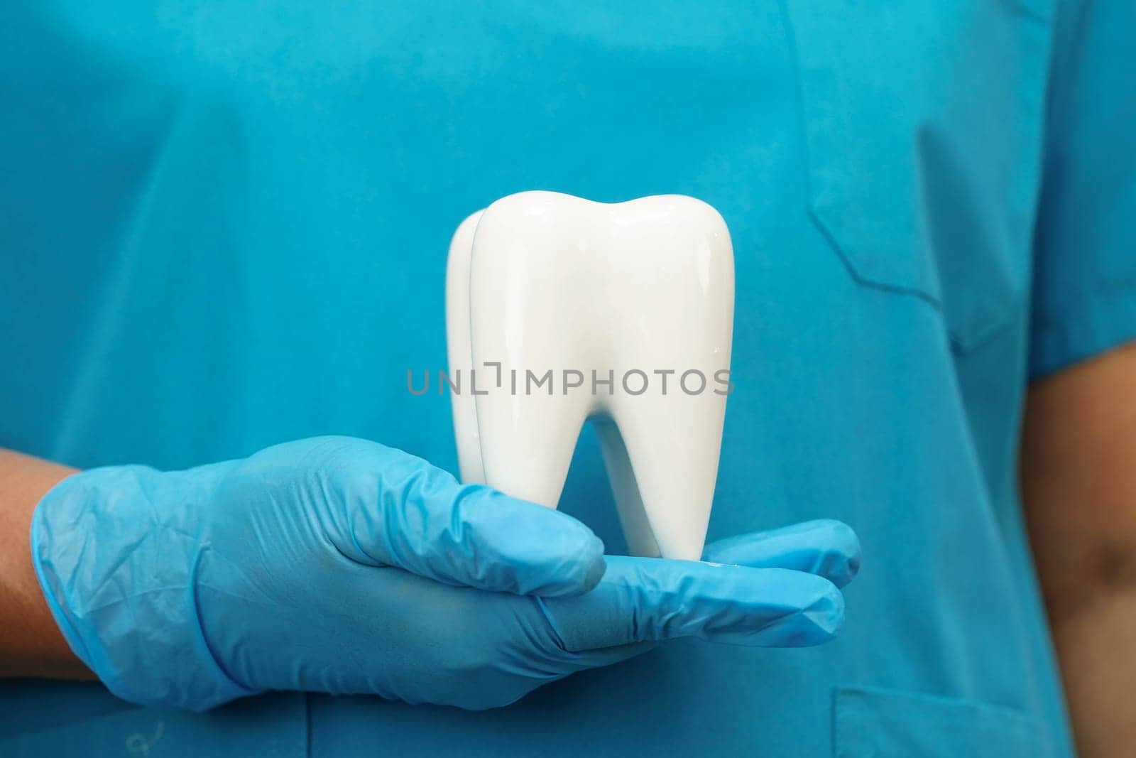 Dentist holding dental implant, artificial tooth roots into jaw, root canal of dental treatment, gum disease, teeth model for dentist.