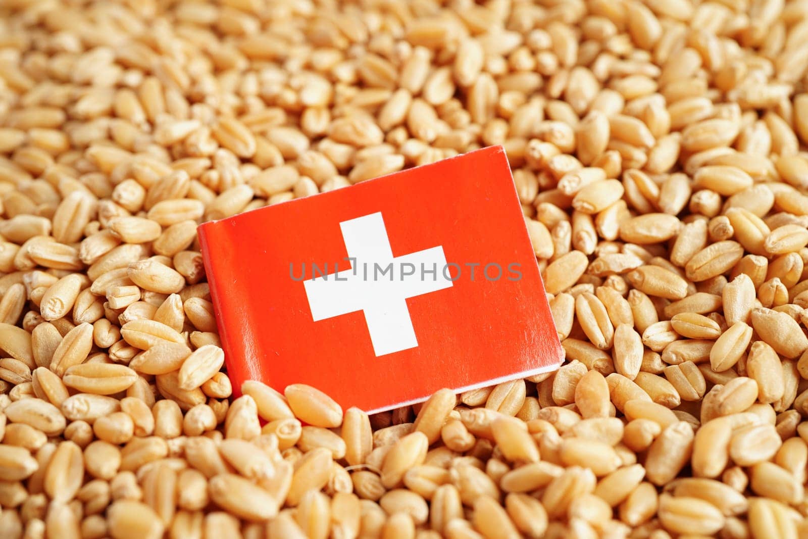 Switzerland flag on grain wheat, trade export and economy concept.