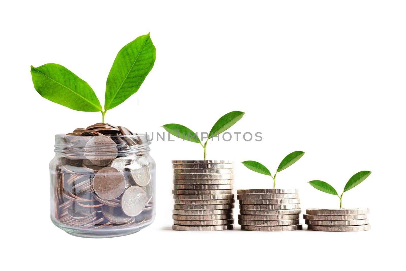Green leaf plant on save money coins, Business finance saving banking investment concept.