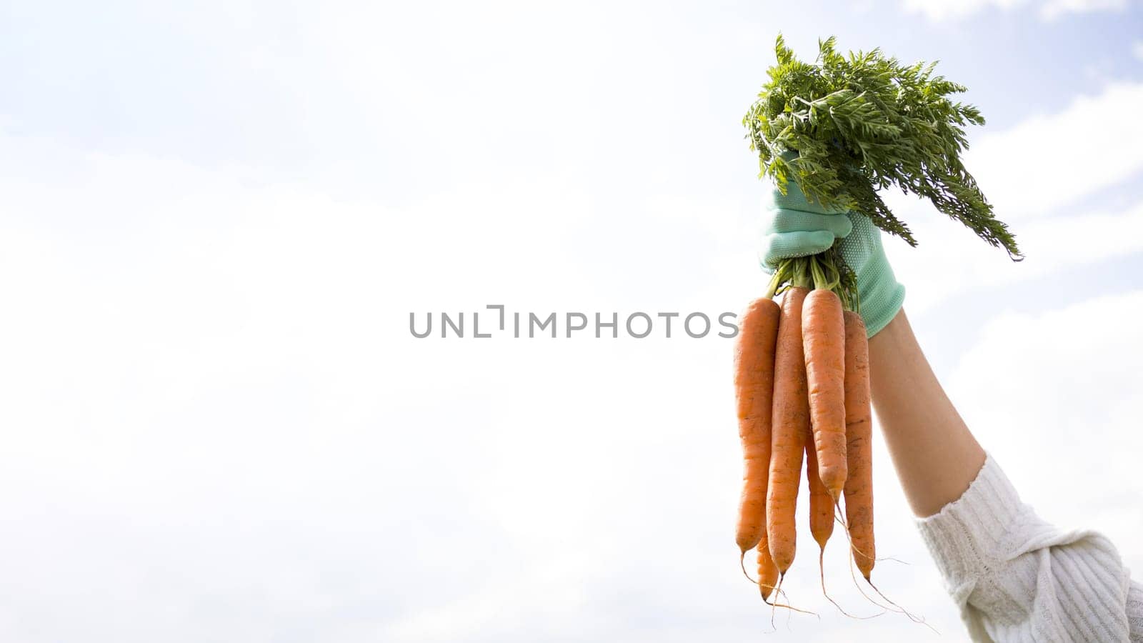 woman holding up some carrots with copy space. Resolution and high quality beautiful photo