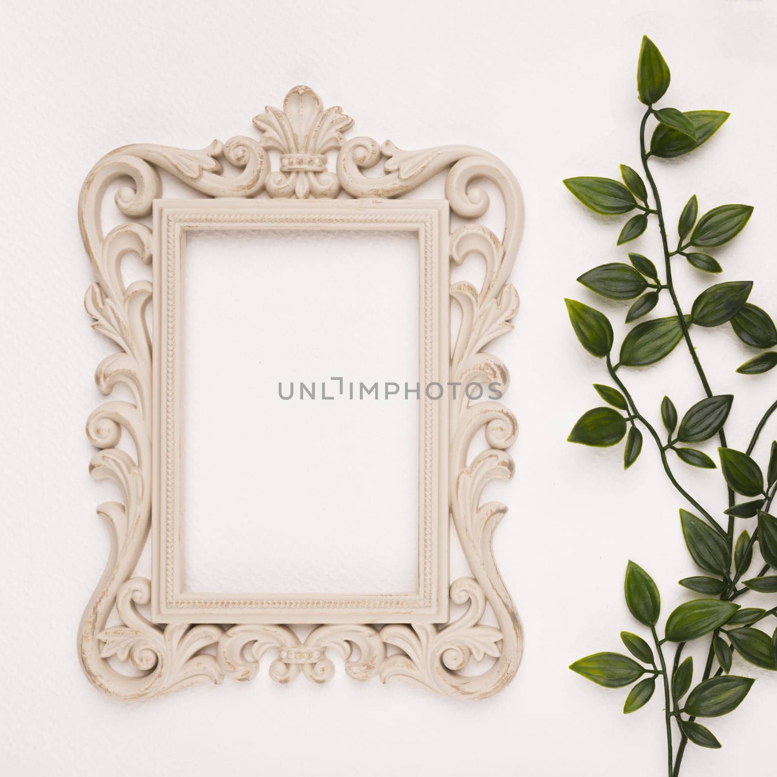 wooden carving frame near artificial leaves white backdrop. Resolution and high quality beautiful photo