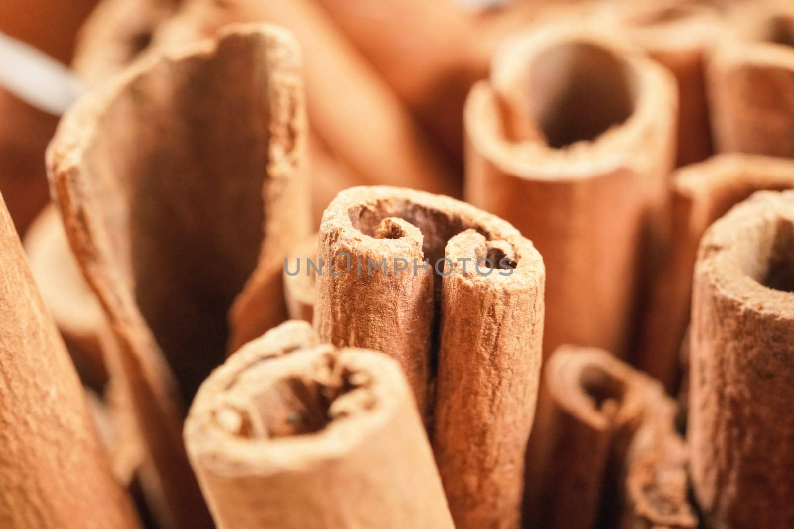 Closeup detail - Heap of cinnamon bark sticks