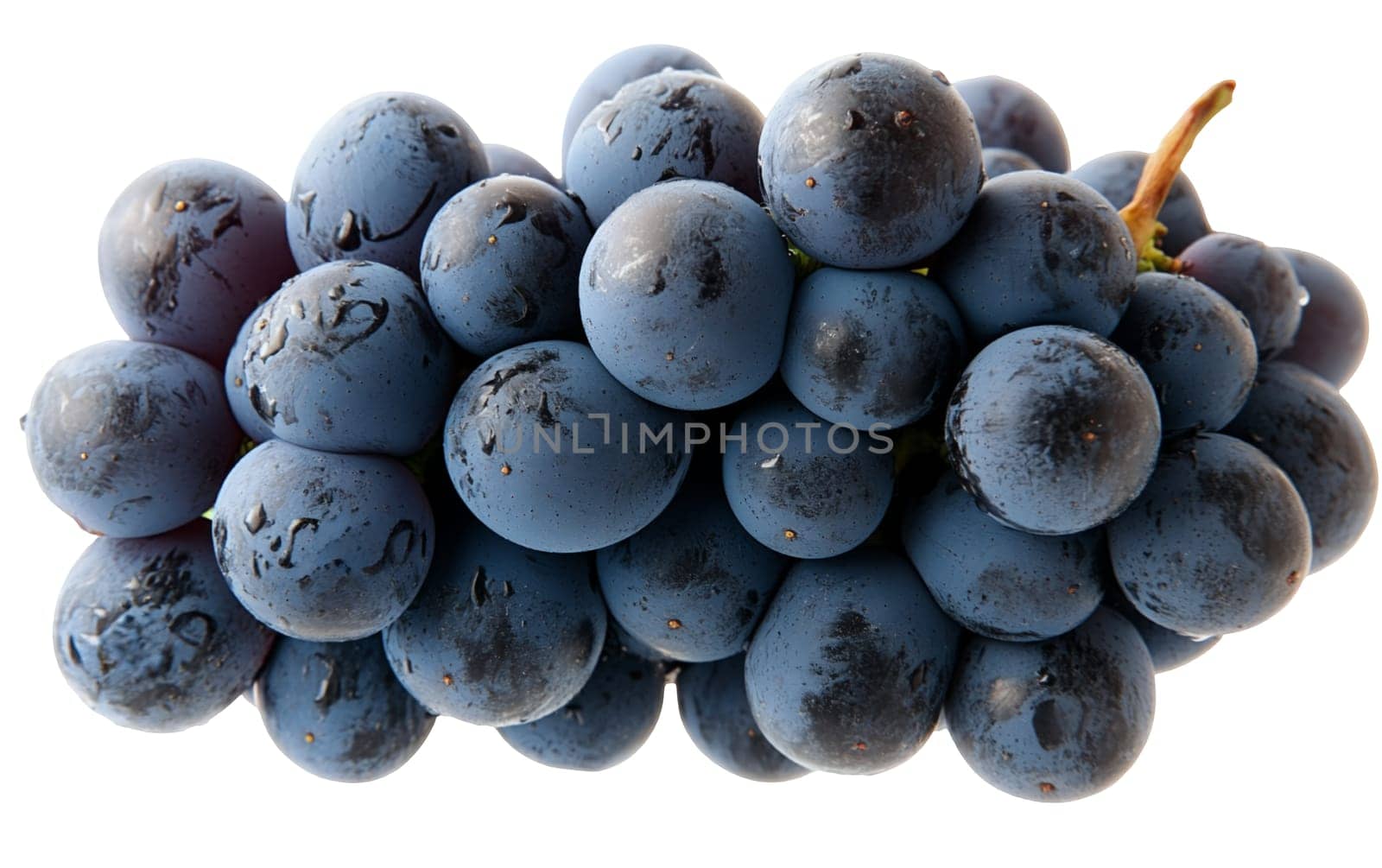 A bunch of juicy white grapes, perfect for wine production and fresh consumption. Isolated on white background.
