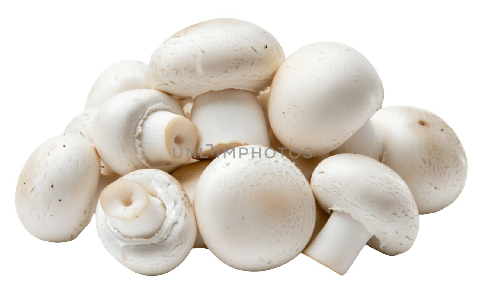 A collection of raw button mushrooms, ideal for adding flavor and nutrition to various dishes. Isolated on white background.