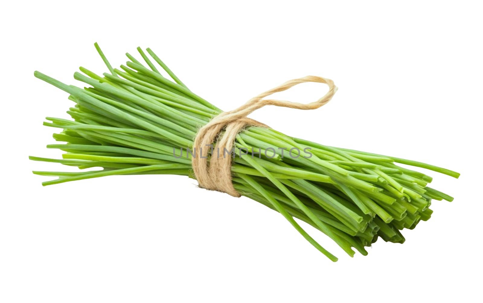 A neatly tied bundle of fresh chives on a white background, perfect for culinary use and garnishing dishes. Isolated on white background.