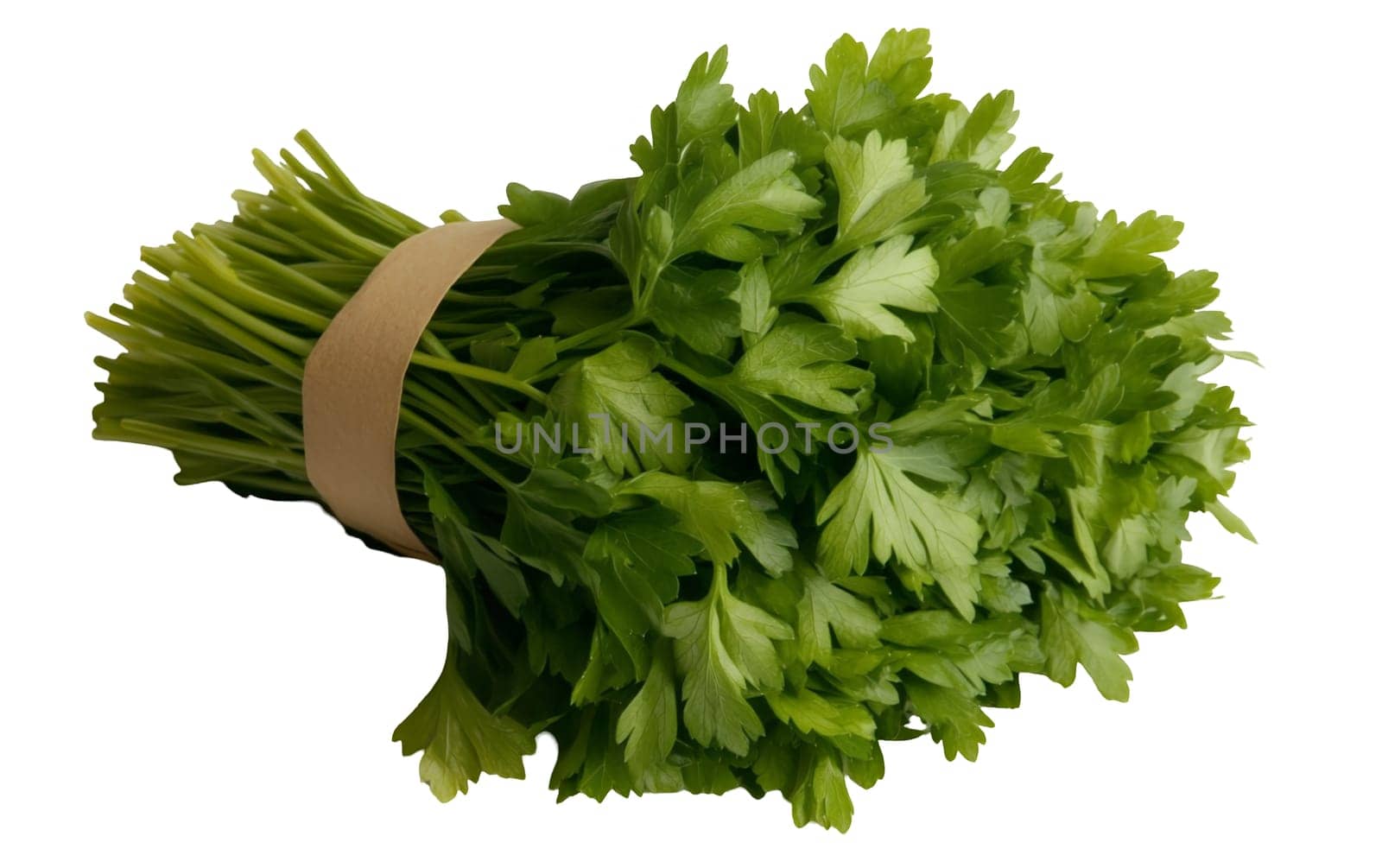 A neatly bundled bunch of fresh parsley, perfect for adding a burst of flavor and nutrition to meals. Isolated on white background.