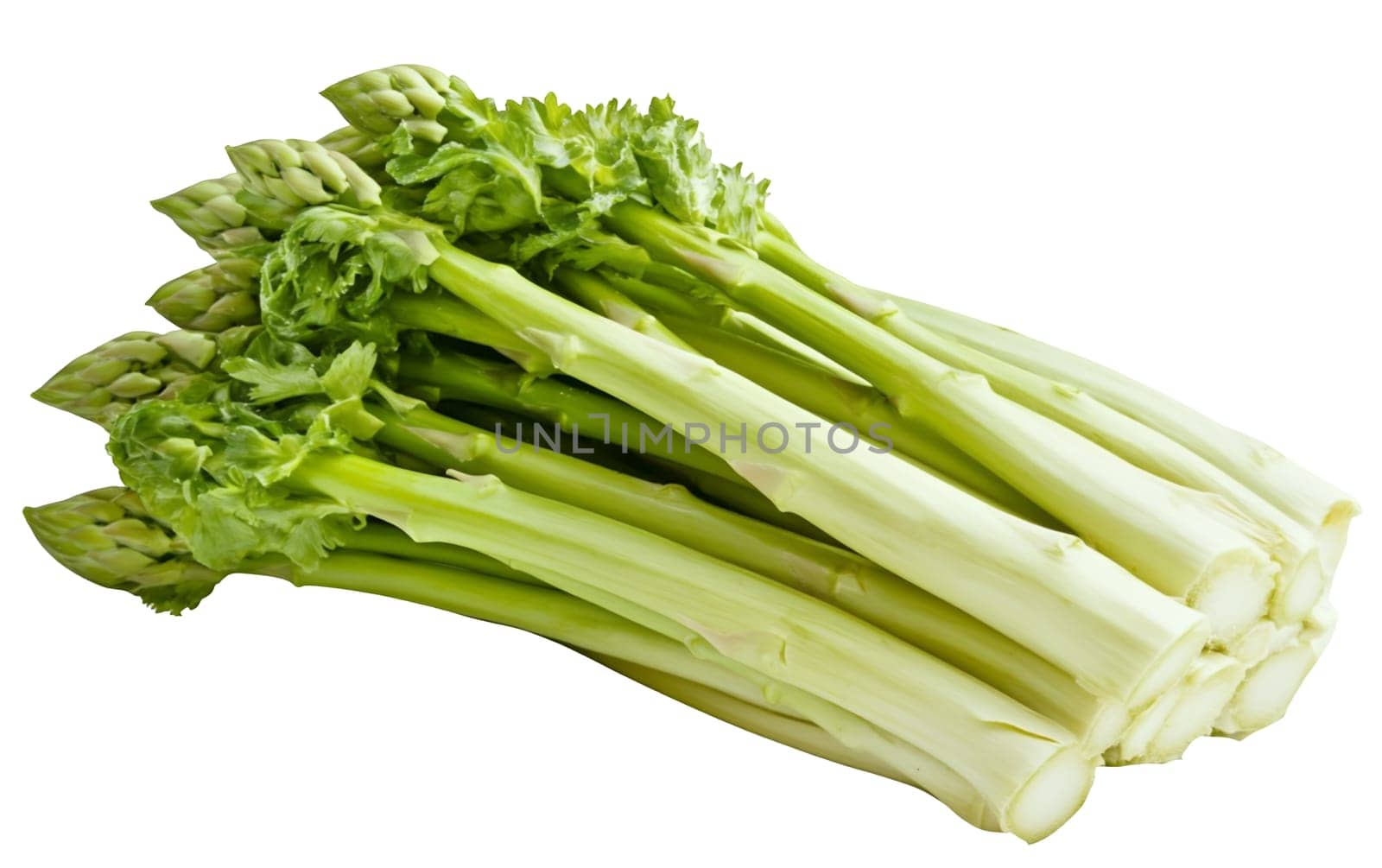 A bunch of fresh green asparagus stalks, showcasing their crisp texture and vibrant color. Isolated on white background.