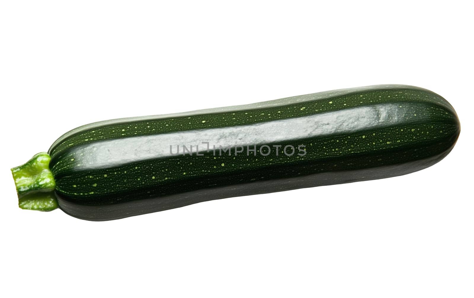 A single dark green zucchini on a dark background, great for culinary themes with copy space. Isolated on white background.