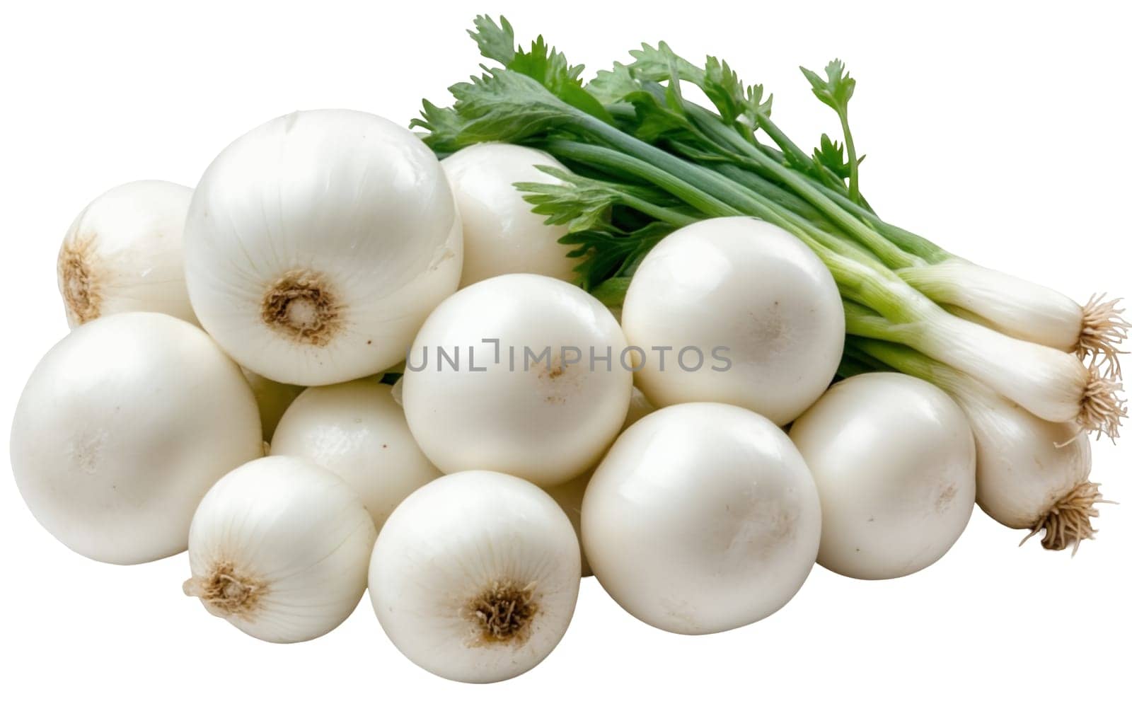 A cluster of fresh white onions with green stems, ideal for adding flavor and aroma to various dishes. Isolated on white background.
