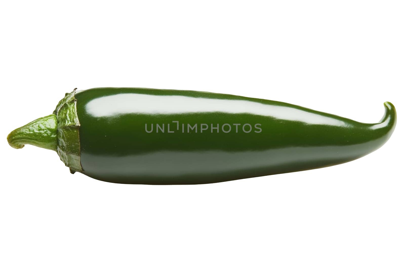 A fresh green jalapeno pepper isolated on a white background, showcasing its shiny texture and spicy potential. Isolated on white background.