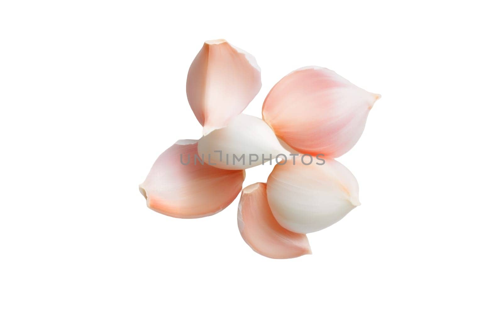 A cluster of peeled garlic cloves showcasing their soft pinkish white hues, strikingly set against a white background. Isolated on white background.