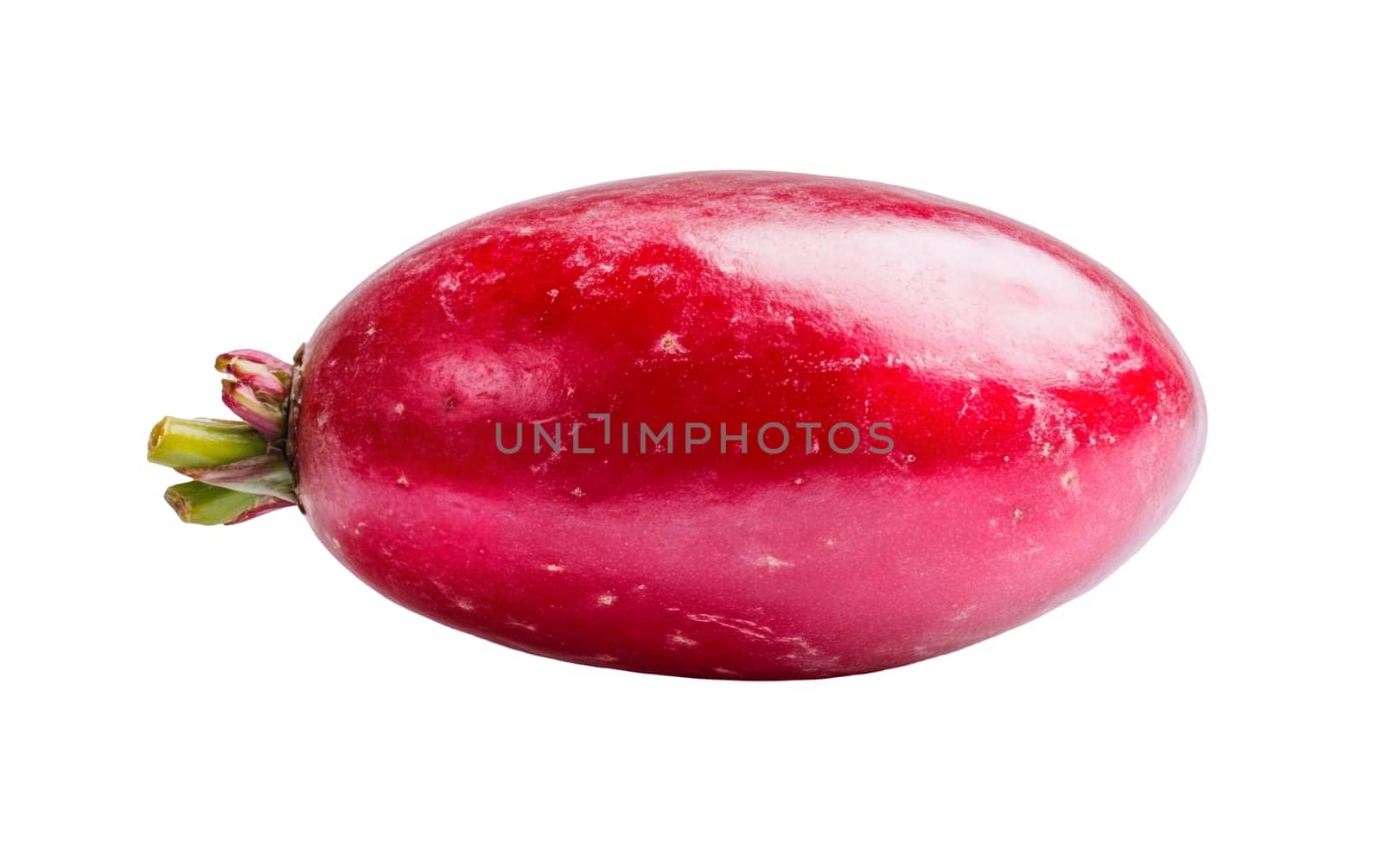 Close up of a fresh red cranberry, highlighting its smooth texture and vibrant color on a white background. Isolated on white background.