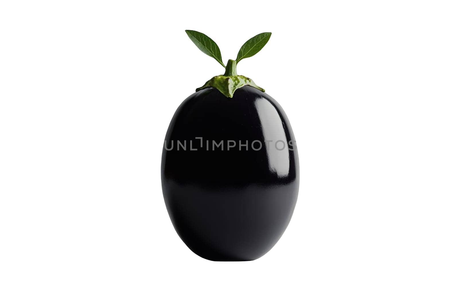 A glossy white eggplant with a green stem and leaves, standing upright against a dark background. Isolated on white background.