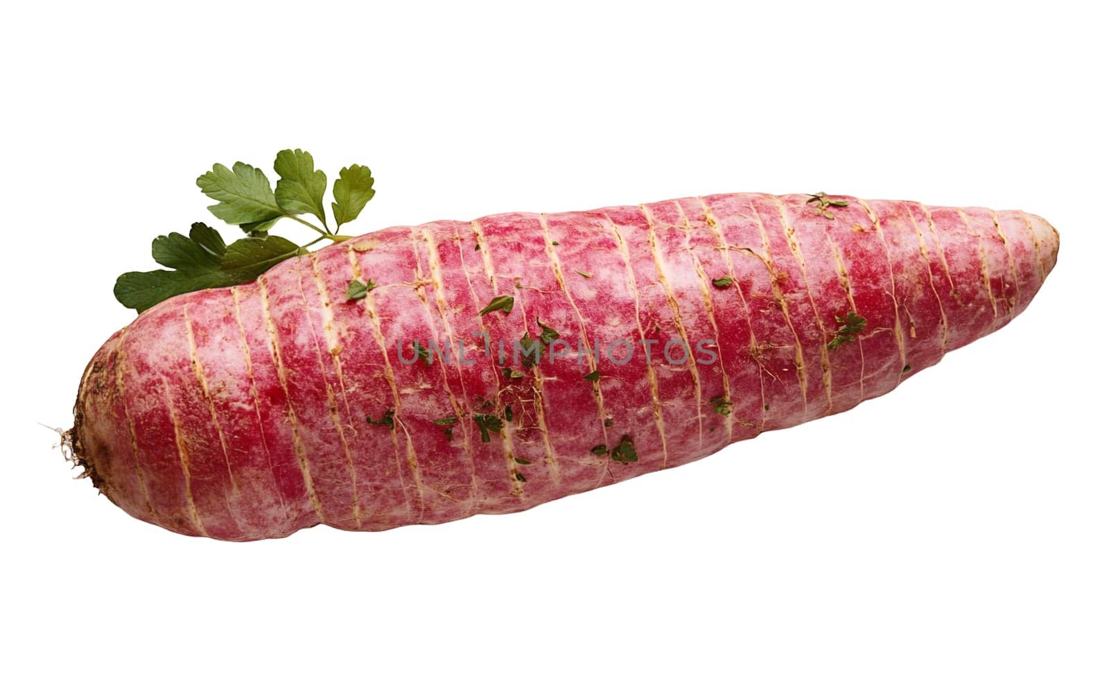 Close up of a wrapped red root vegetable with herbal garnish, ready for cooking. Isolated on white background.