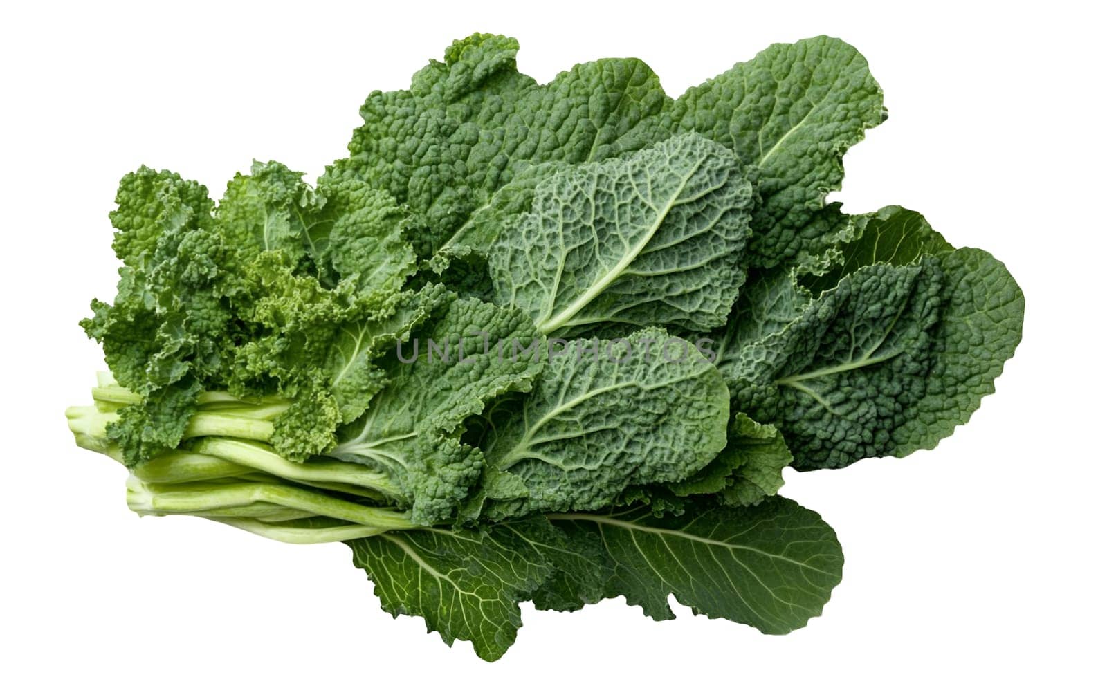 A bunch of fresh kale leaves with vibrant green color and curly texture. Isolated on white background.