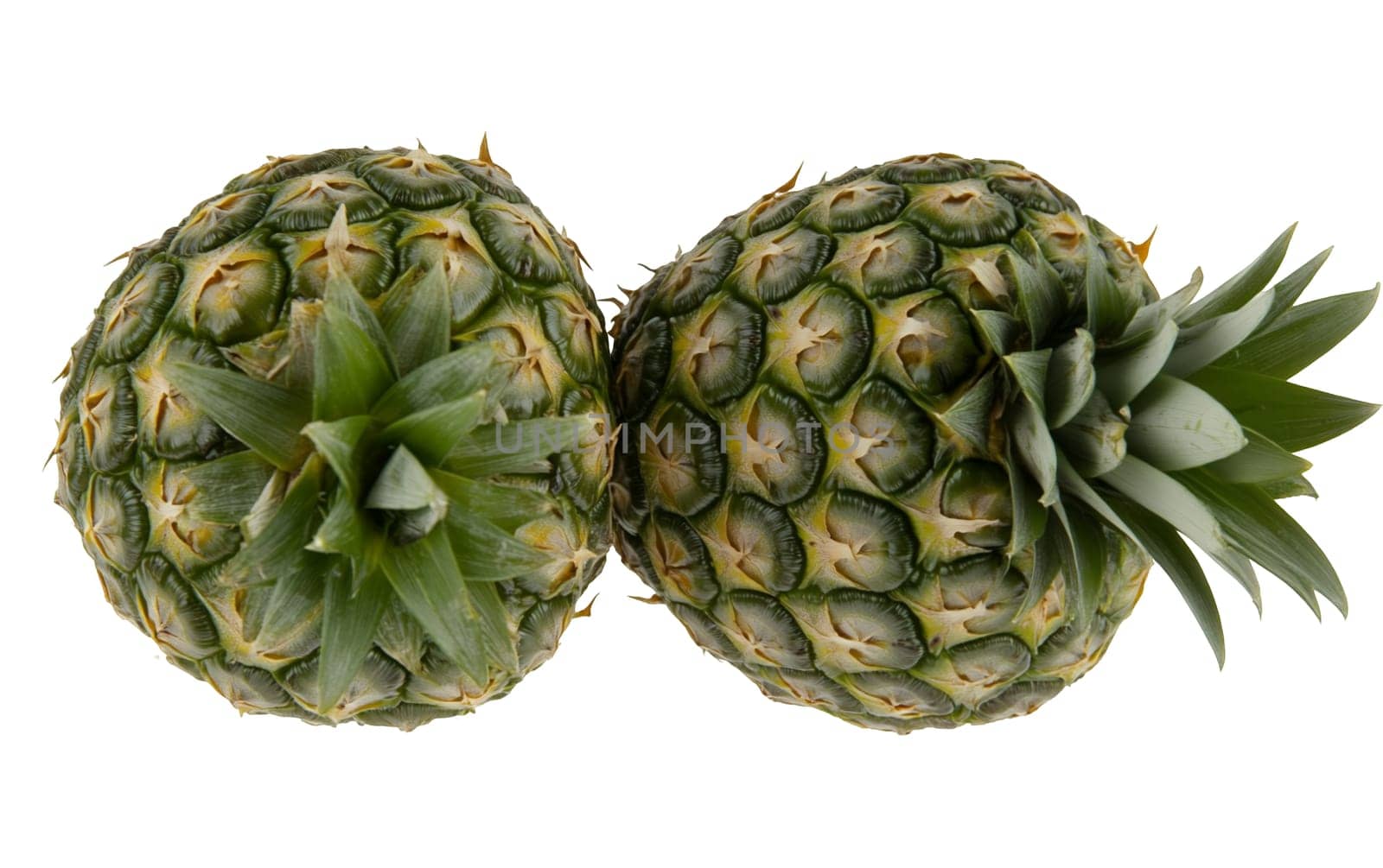 Two fresh pineapples with green crowns displayed against a white background, showcasing their textured surfaces. Isolated on white background.