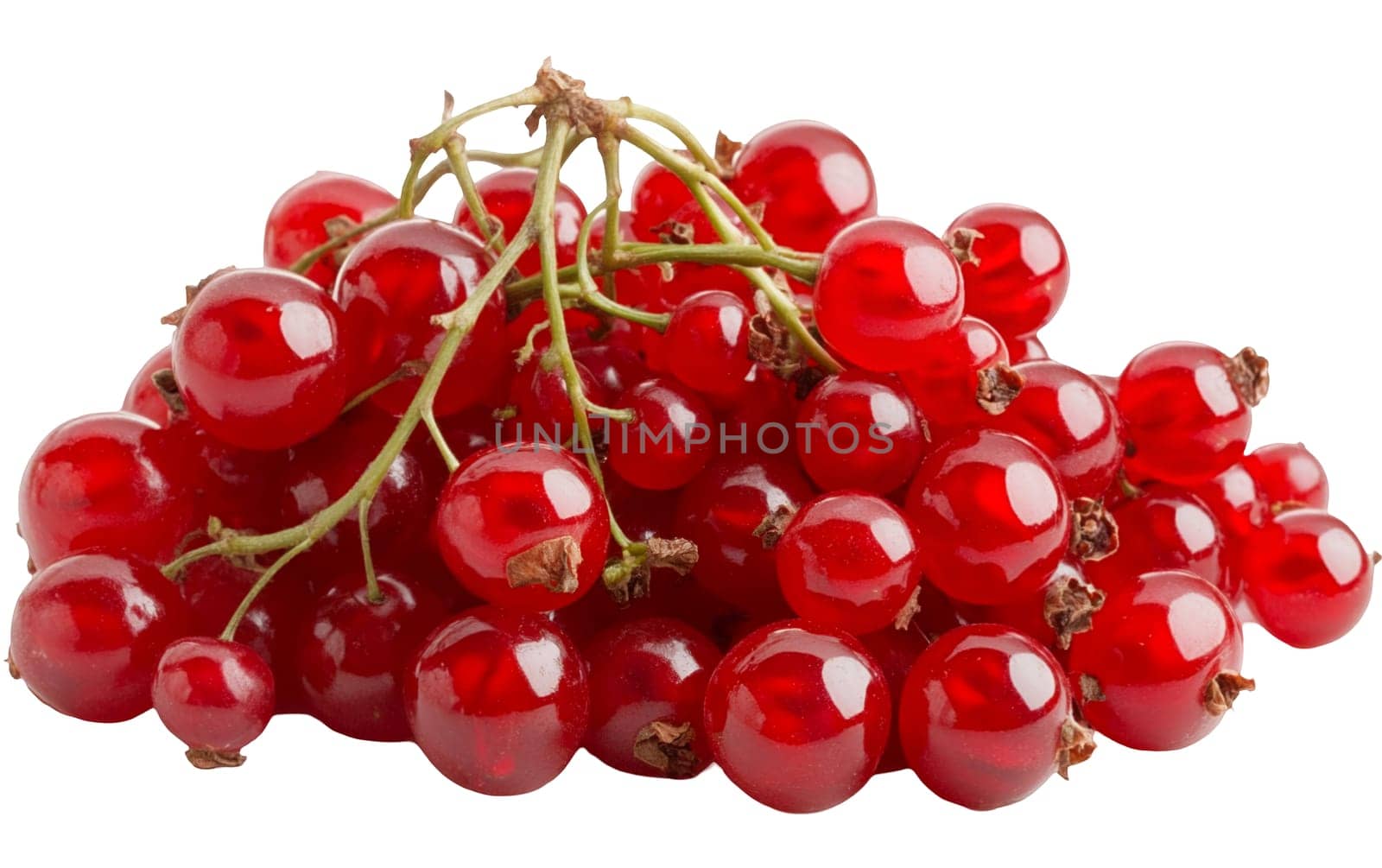 A vibrant cluster of red currants on a white background, ideal for culinary and decorative uses with copy space. Isolated on white background.
