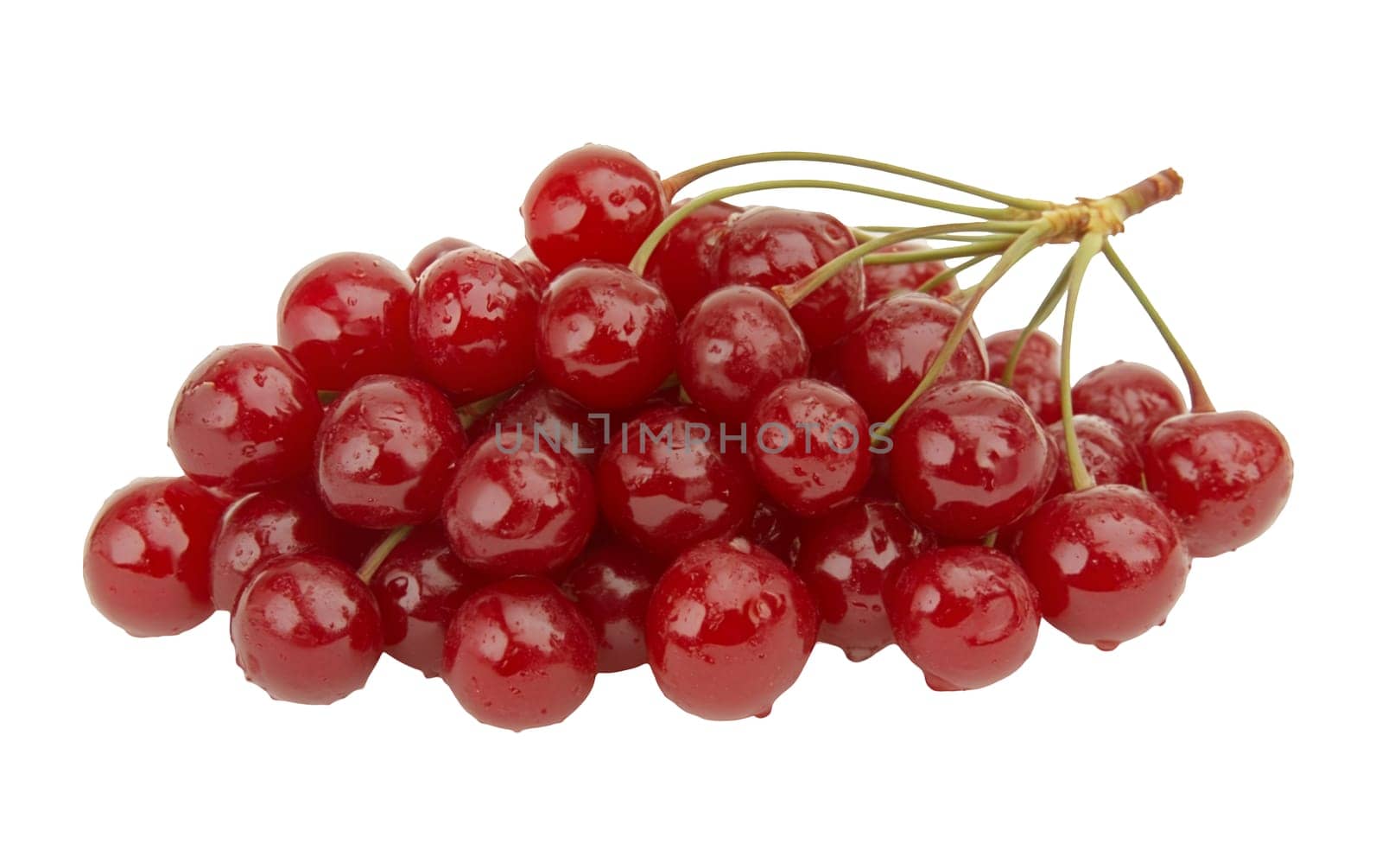 A lush pile of juicy red cherries on a white background, perfect for culinary themes and summer vibes with copy space. Isolated on white background.