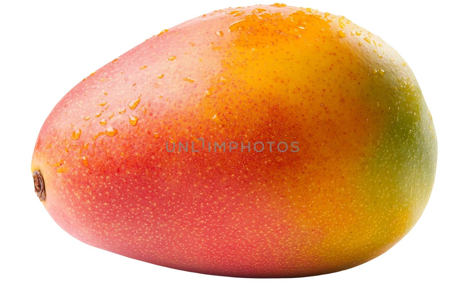 A ripe mango with dewdrops on its surface, showcasing its vibrant colors and freshness. Isolated on white background.