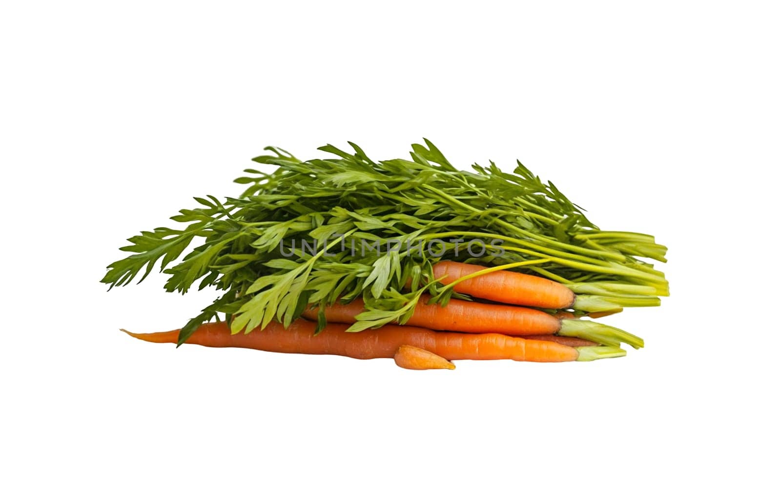 Carrots with fresh green tops, arranged neatly on a white background, highlighting their vibrant color and freshness. Isolated on white background.