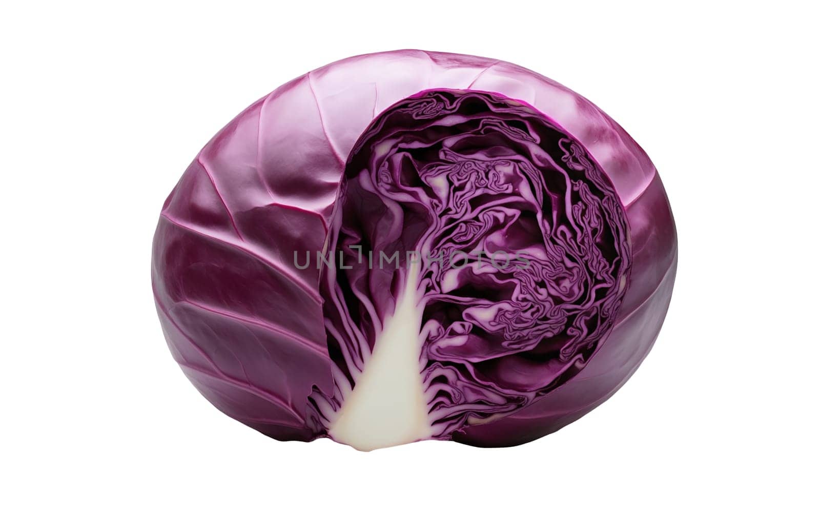 A purple red cabbage half with detailed layers, set against a white background for contrast. Isolated on white background.