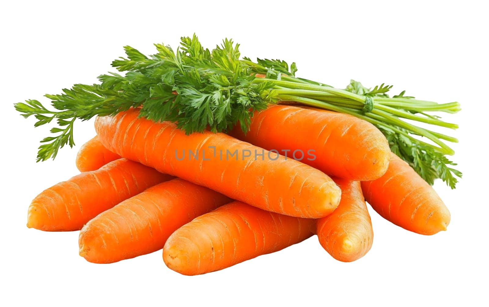 A bunch of fresh carrots with green tops, showcasing their natural color and texture on a white background. Isolated on white background.