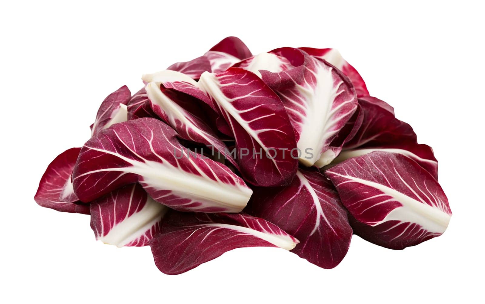 A pile of fresh radicchio leaves, showcasing their vibrant red and white coloration. Isolated on white background.