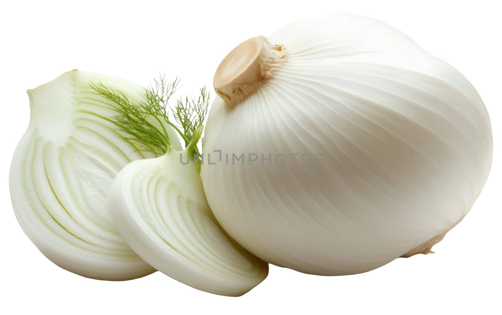 Close up of a fresh white onion with slices and delicate greens on a white background. Isolated on white background.