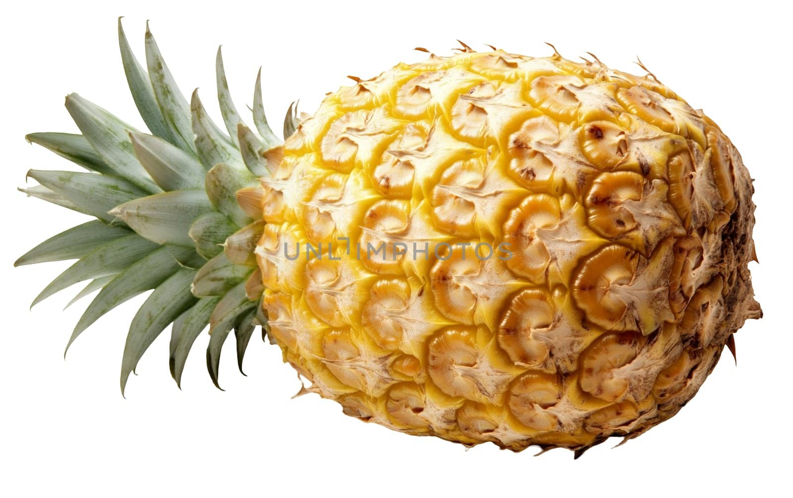 A ripe pineapple with golden skin and green leaves on a white background with ample copy space for text. Isolated on white background.